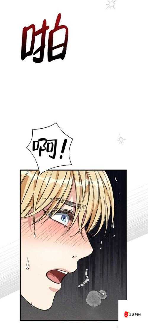 严选漫画浏览入口平台:优质漫画的专属汇聚之地