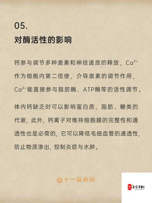 GGY 钙:一种具有重要作用和广泛应用前景的物质