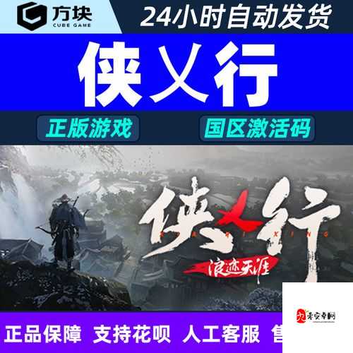 侠乂行浪迹天涯,游戏特色玩法及内容详解一览的重要性与管理策略