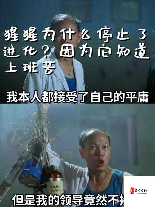 当初牛夫人现在小甜甜:从嫌弃到喜爱的奇妙转变