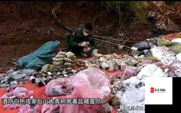 变态 AV 缅甸北部色黄网站:揭秘其背后的邪恶与危害