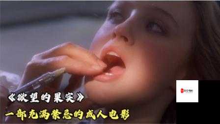 色呦呦黄片:探讨成人影片中的伦理与文化