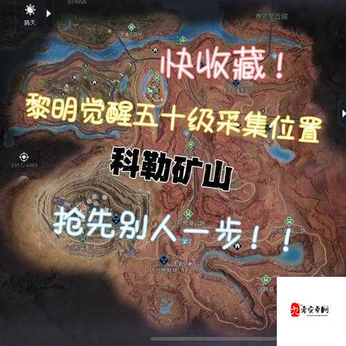 黎明觉醒,开局道具组合选择,助你赢在起跑线