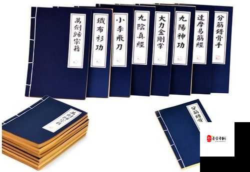 九阴真经X88888:探寻神秘武林秘籍的绝世之旅