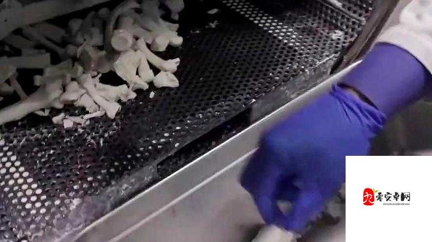 91 国精产品自偷自偷综合:探索性与艺术的完美结合