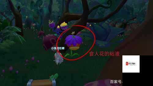摩尔庄园黑森林探险,黑色产物获取全攻略