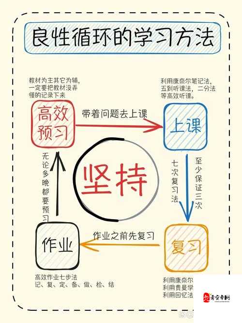 全民班主任,解锁班级管理的高效秘籍