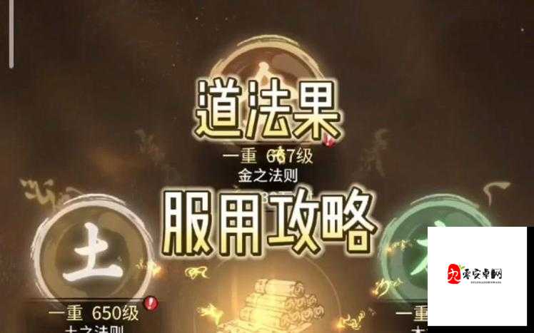 一念逍遥,道法果的妙用与获取策略
