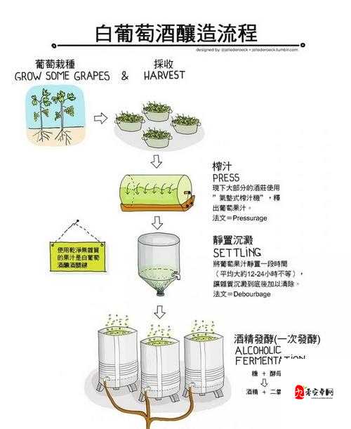 酿葡萄酒大师酿制美味可口的葡萄酒的终极秘诀,资源管理的艺术