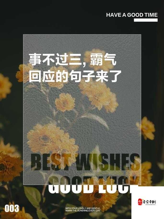 色姑娘霸气怼浪逼:绝不退让的精彩交锋