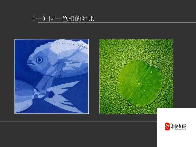 亚洲色图 P:探寻亚洲文化中的色彩与图案