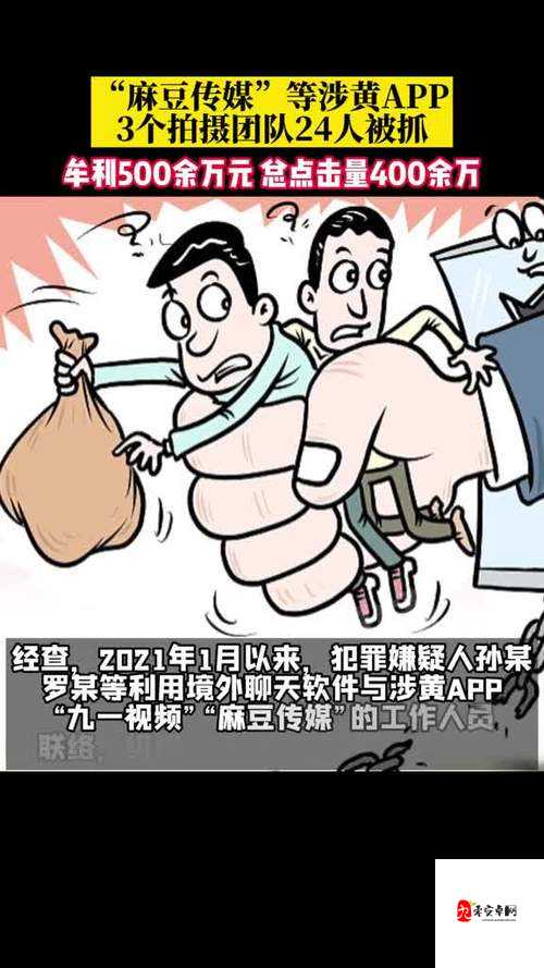 麻豆传播媒体app大全免费版:一款存在不良内容的非法应用