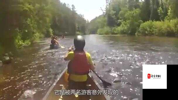 粘稠液体大量涌出,场面令人震惊不已