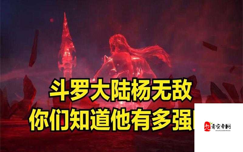斗罗大陆魂师对决,杨无敌技能全解析与角色深度剖析
