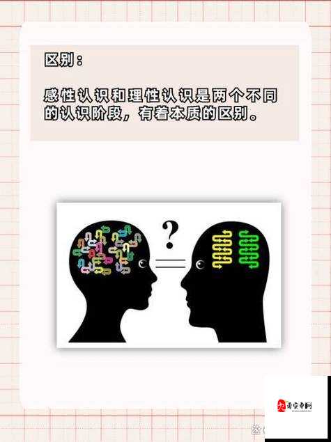 夫妻两人感性和理性关系:如何在生活中达到平衡与和谐
