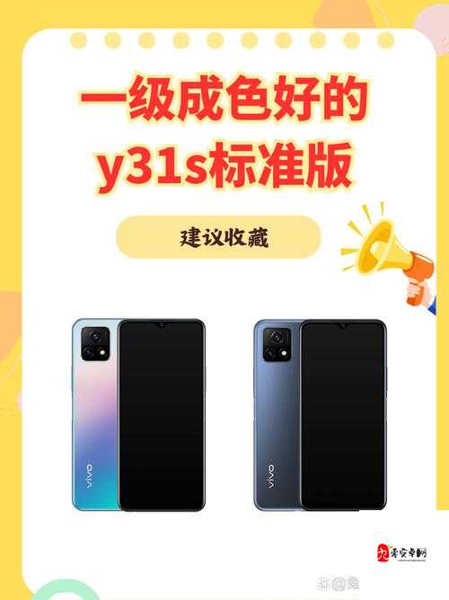 一级成色好的 y31s 标准版评测-:深度解析