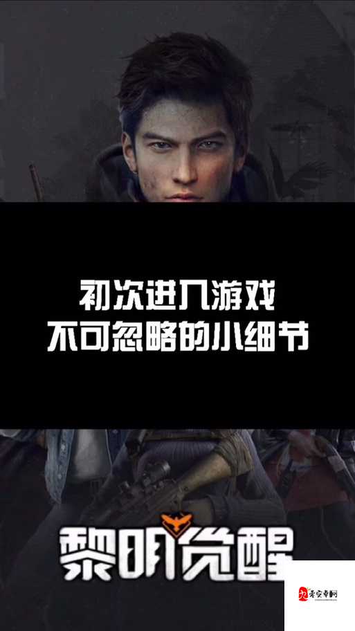 解锁黎明觉醒的同居系统,打造你的专属乐园