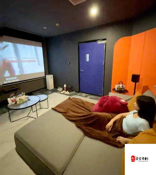 成都私人小影院品牌加盟海贼王:开启独特的娱乐体验之旅