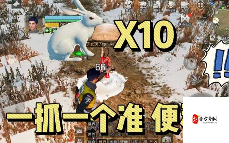 明日之后手游中要怎么抓兔子,资源管理的高效策略