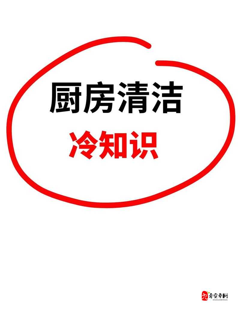 厨房到卧室的清洁小妙招：实用技巧让家居一尘不染