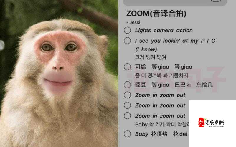 美国 ZOOM 动物 ZOOM:一场奇妙的动物探索之旅