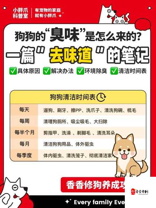 狗狗的东西又硬又烫又臭怎么办:这到底是怎么回事如何解决