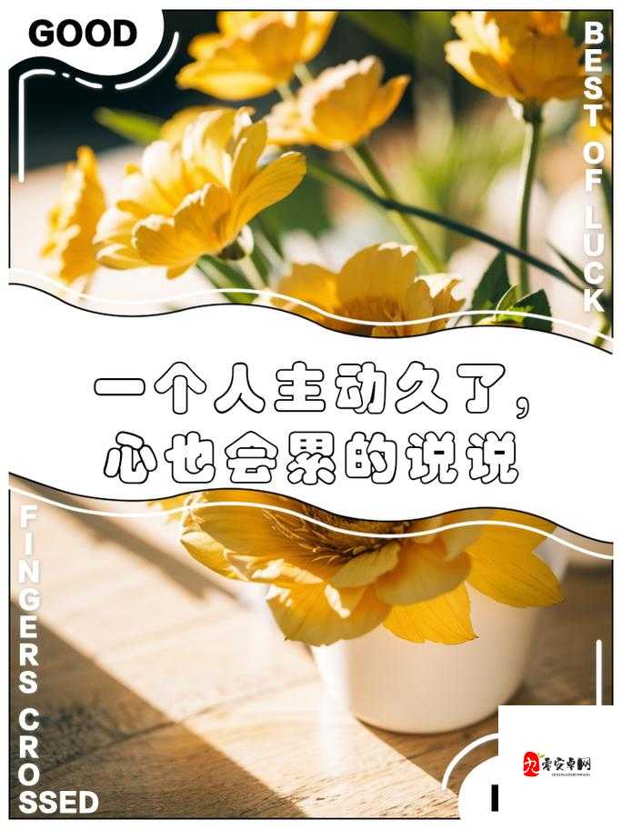 午夜的坚持:在黑暗中守护光明