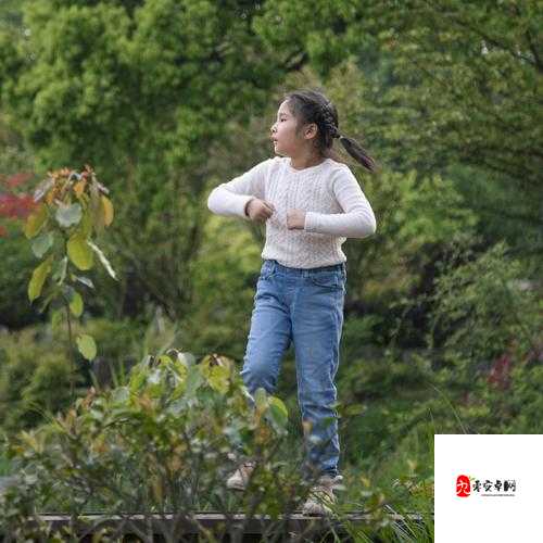 含苞待放周延镇莹莹谜:探寻其背后的故事与意义