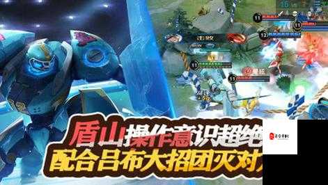 王者荣耀盾山玩法全攻略,资源管理、技巧提升与避免浪费