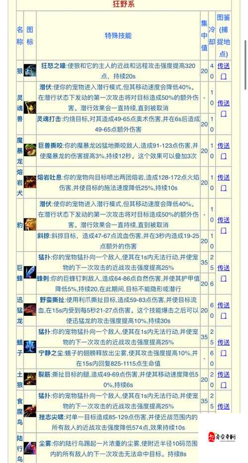魔兽世界怀旧服TBC猎人宝宝携带全攻略