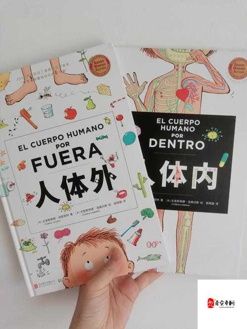 坐腿杀很容易硬吗:探索性反应的奥秘