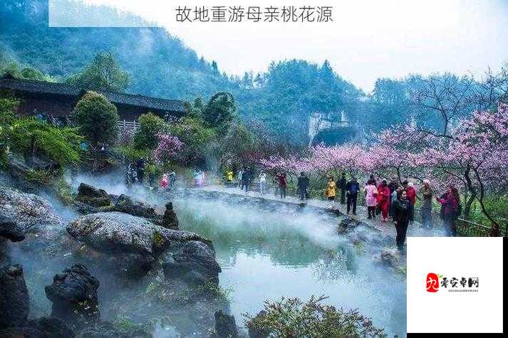 重游母亲桃花源:重温那段美好的记忆时光