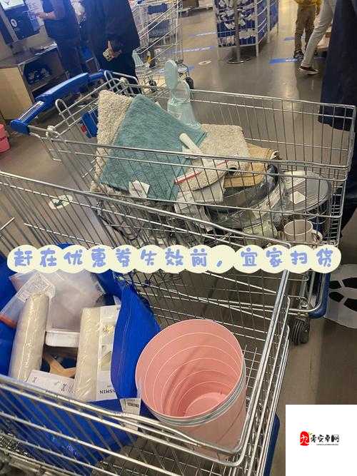 小扫货:扫货达人的秘密武器