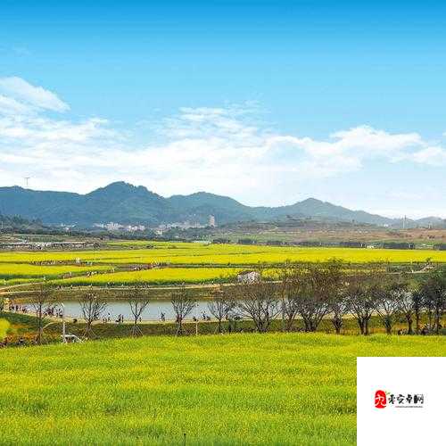 九牛电影天堂欢乐集结地:一个让你尽情享受欢乐的绝佳去处
