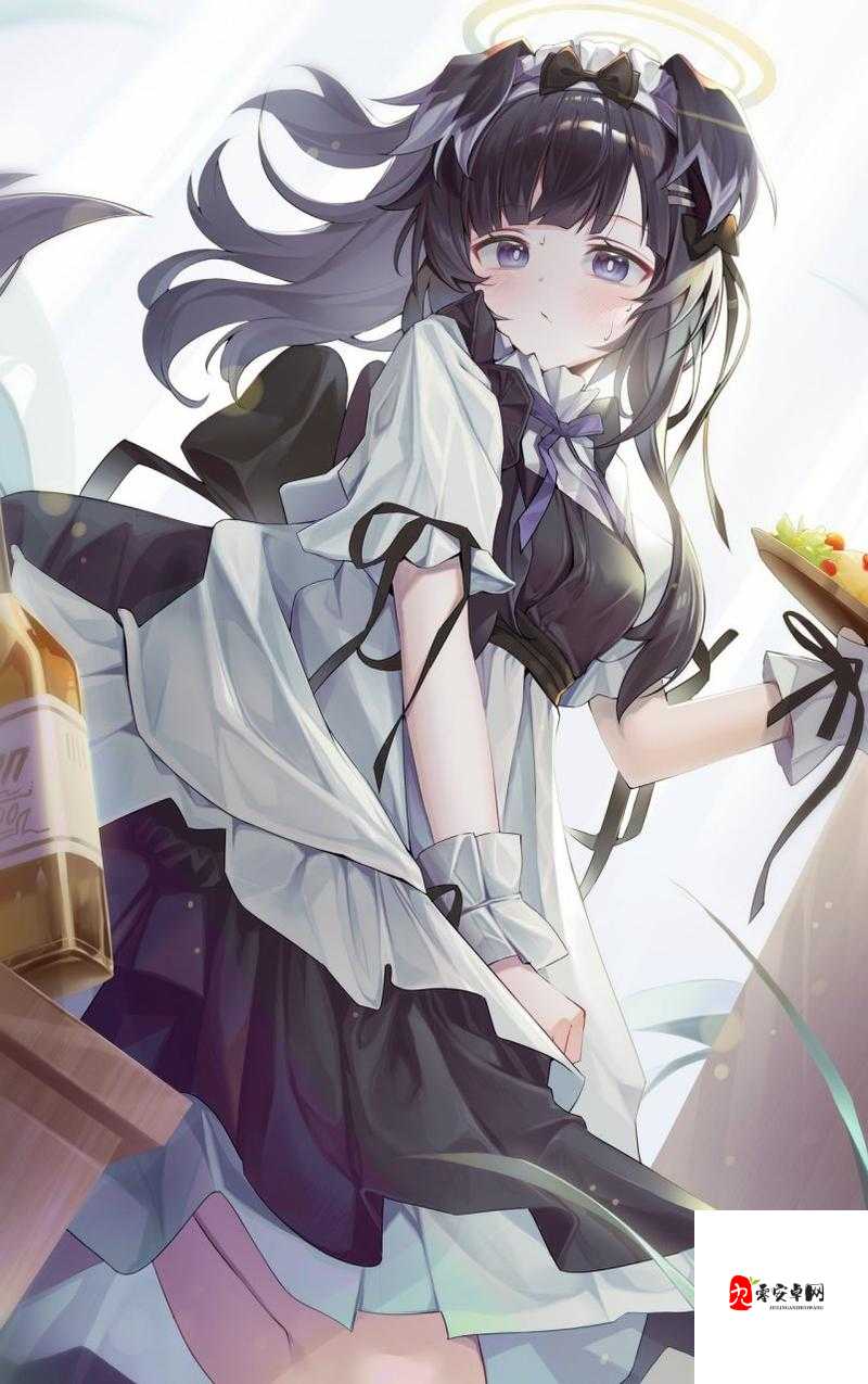 英灵召唤师冒失女仆图鉴,资源管理的艺术