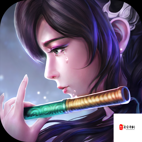 命运决战英雄图鉴大全,资源管理的艺术