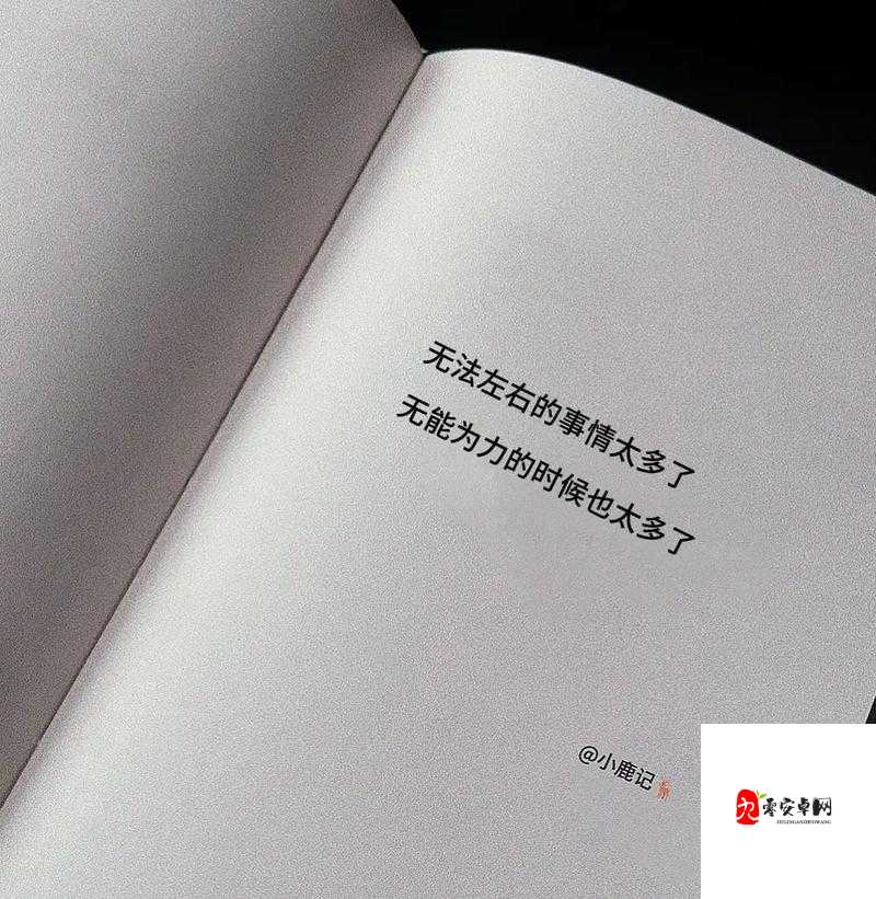 疯了一样的占有:对爱情近乎疯狂的执念与渴望