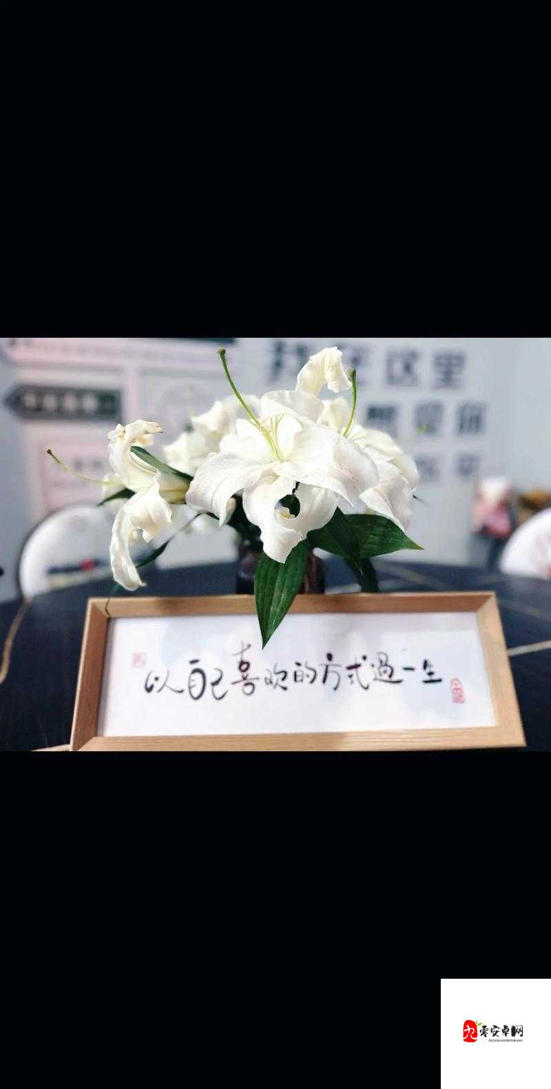 我会慢慢的,以很温柔的方式去对待一切