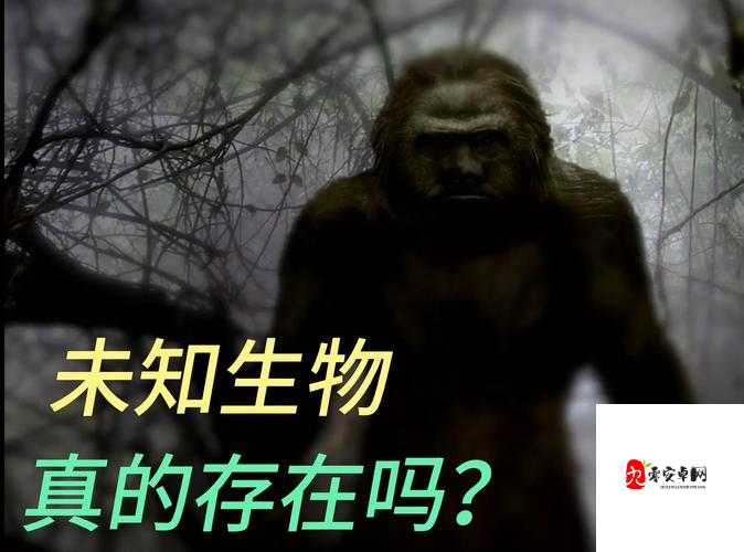 探索未知,以下哪个城市不是2017全球总决赛的举办地在资源管理中的重要性及策略