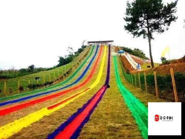 旅行换配偶:开启别样人生的奇妙旅程与选择