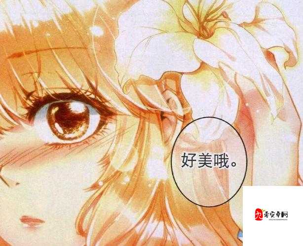 命运决战炽天使加百列图鉴,资源管理的艺术与策略