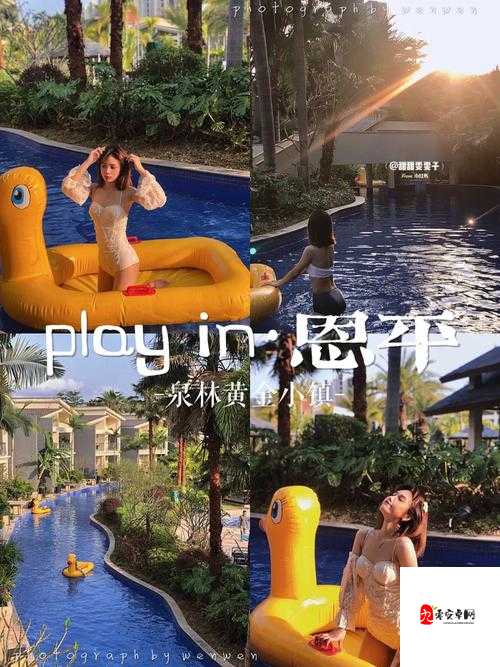 黄金网站 APP 在线看:开启精彩视觉盛宴之旅