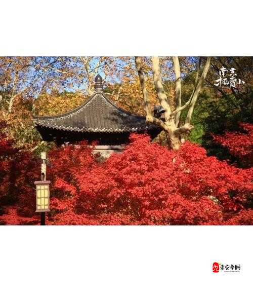 掌门修仙记栖霞山攻略,资源管理的艺术