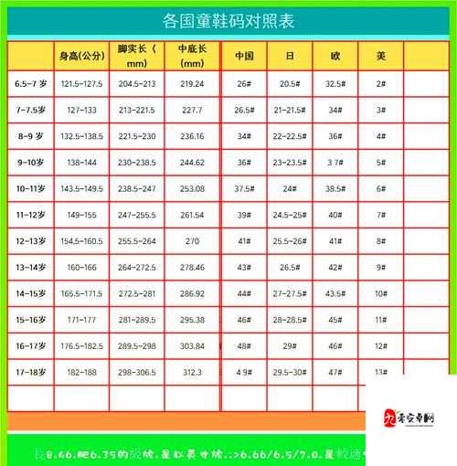 日本尺码与亚洲尺码区别大揭秘:你真的选对了吗?