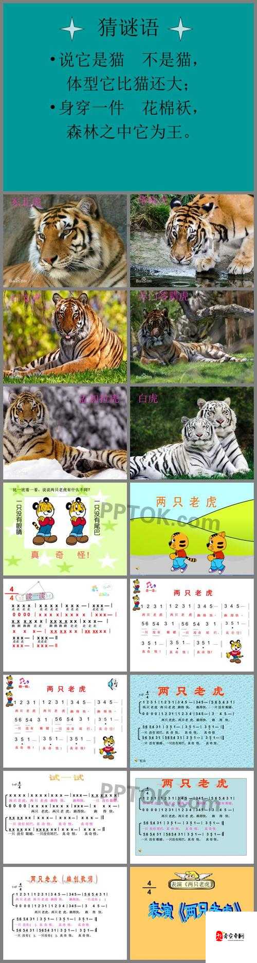 两只老虎的爱情结晶,你猜猜叫什么?打一个字哦!