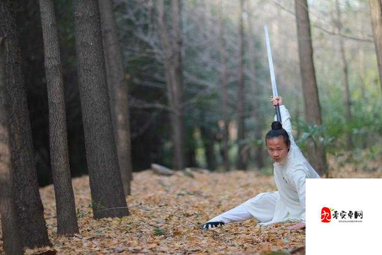 江湖悠悠武当断门掌图鉴,资源管理的艺术