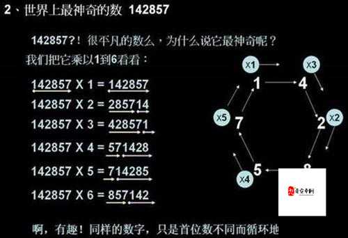 揭秘数字背后的秘密,找出规律,解锁答案的奇妙之旅