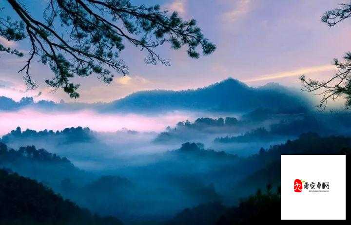 江湖悠悠,杏花图鉴里的诗意与远方