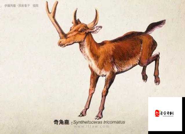 江湖悠悠鹿髓图鉴,解锁武侠世界的神秘宝藏