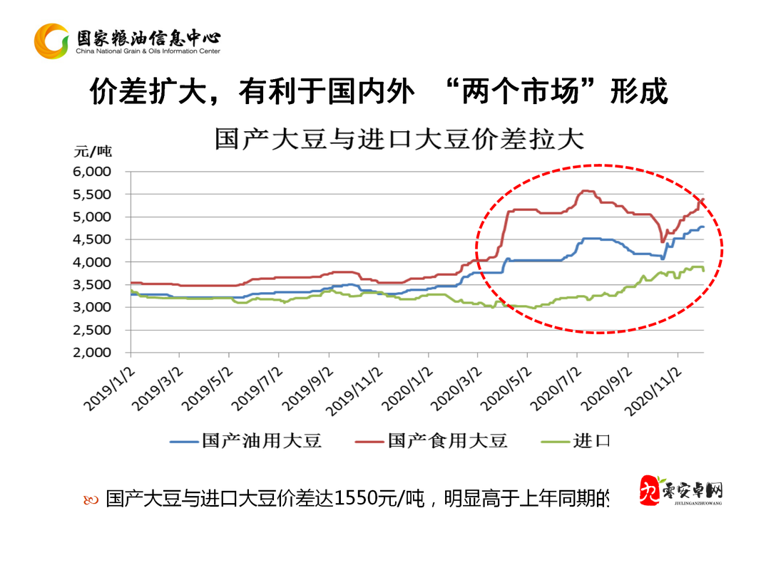 大豆行情网免费 V 完整版:大豆市场信息实时查询平台